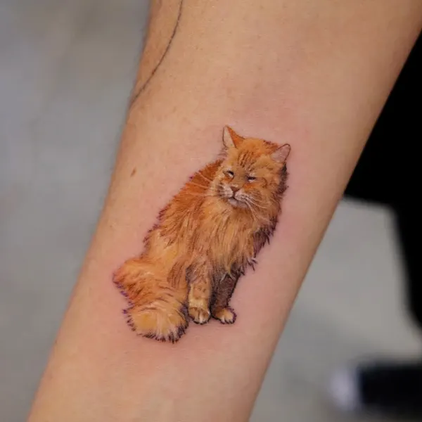 Animal, 고양이