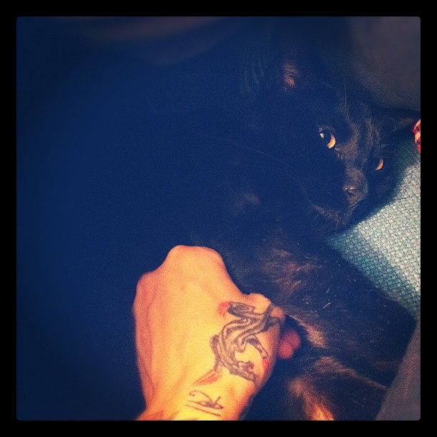 maryjoytattoo