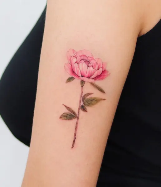 Flower, Rose