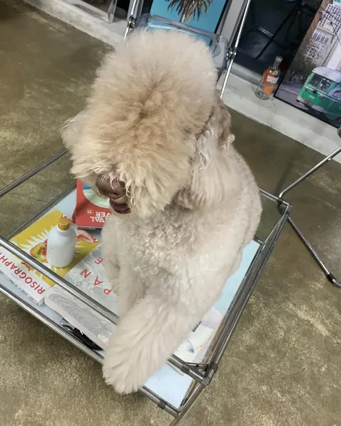 Milo._.club