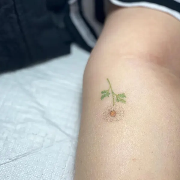 Mini, 풀