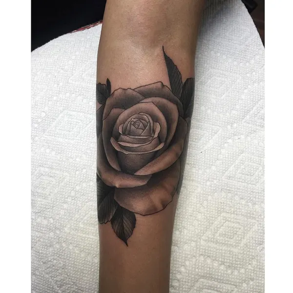 Flower, Rose
