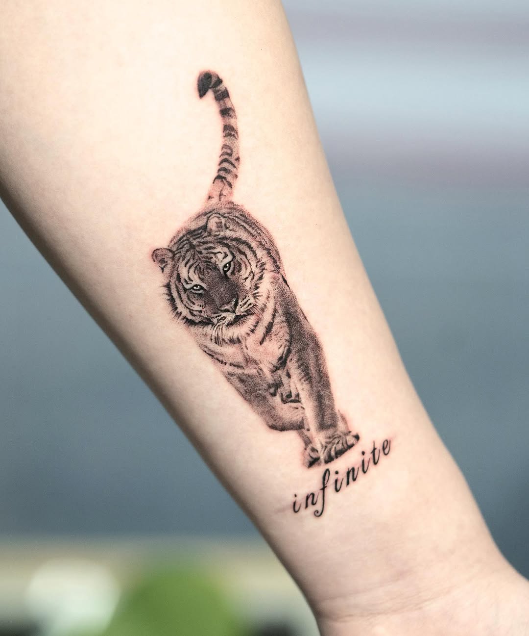 Tiger