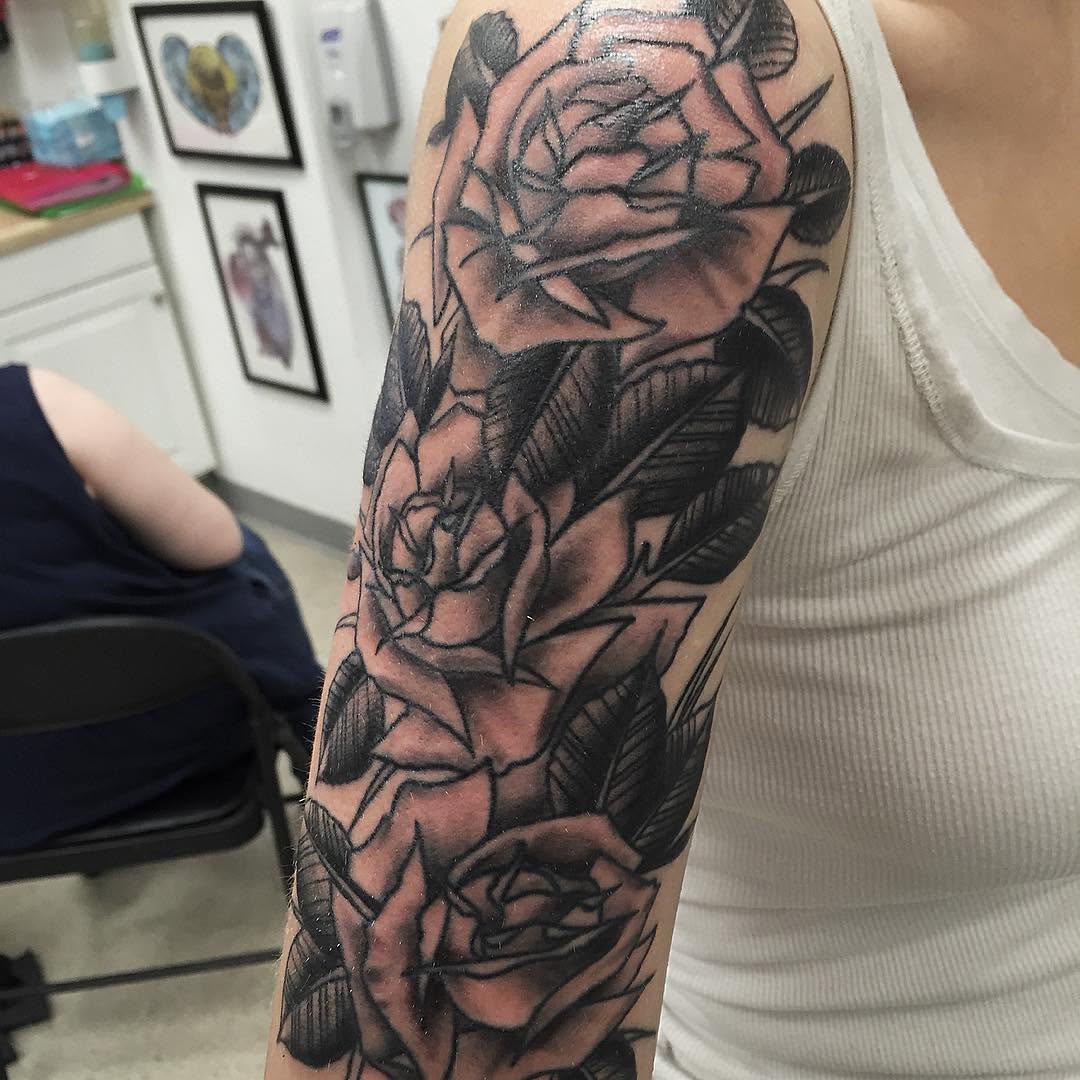 Flower, Rose, Nature