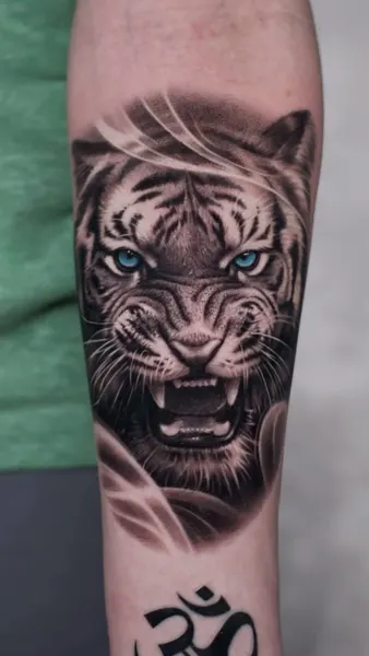 Tiger, 재규어