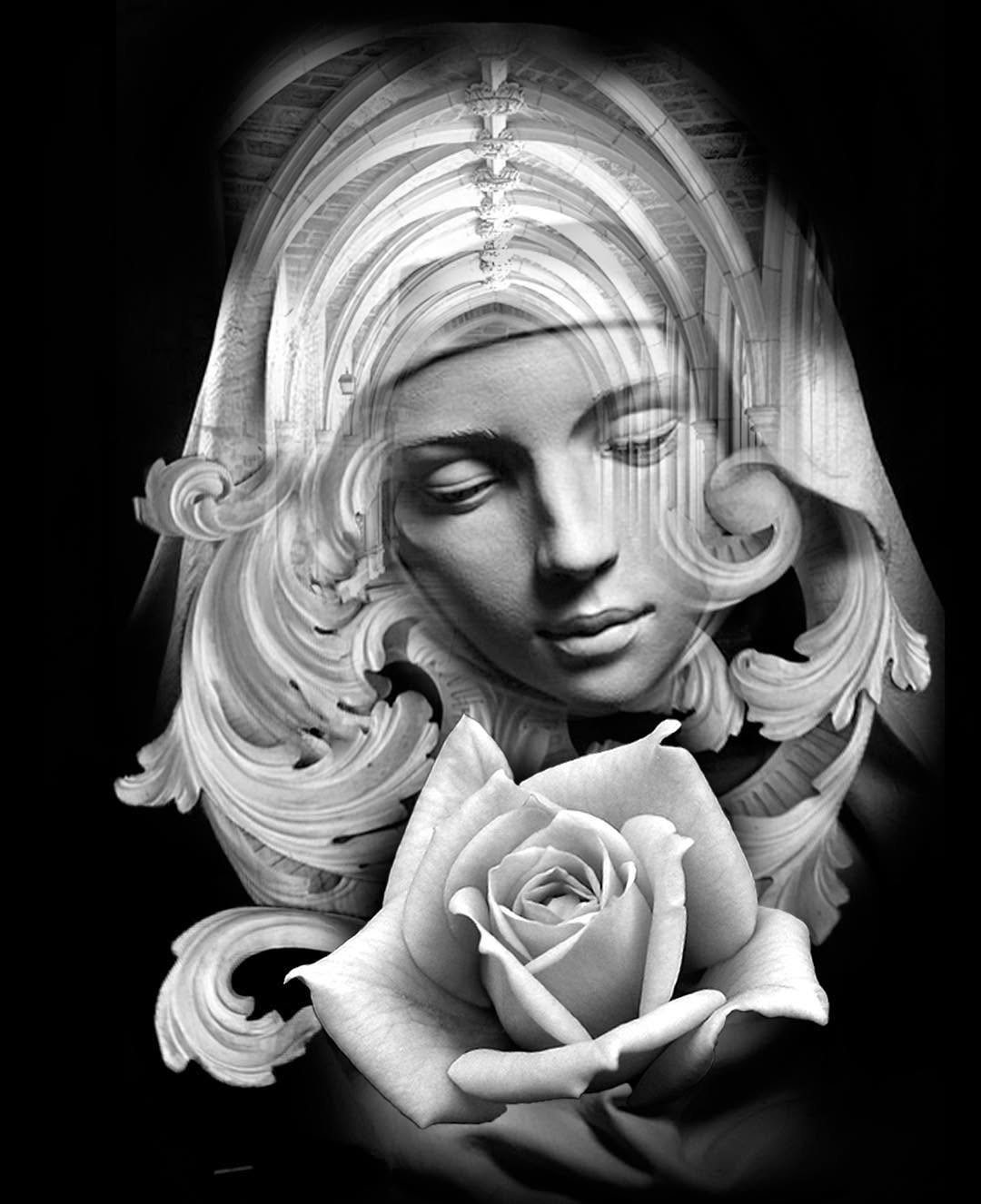 Flower, Rose