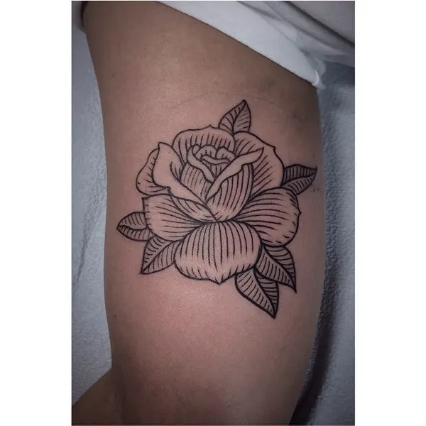 Flower, Rose