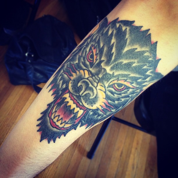 Tiger, Animal