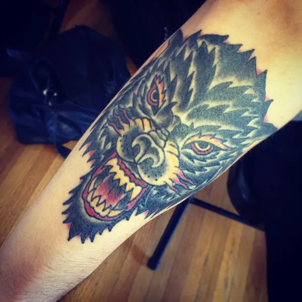 Tiger, Animal