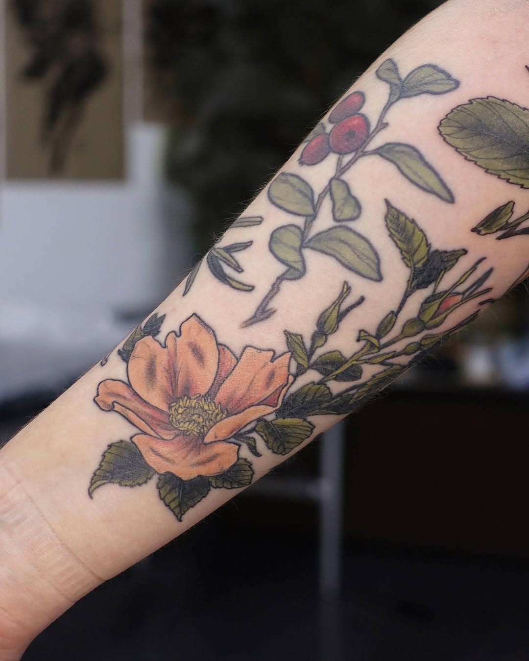 Flower, Rose