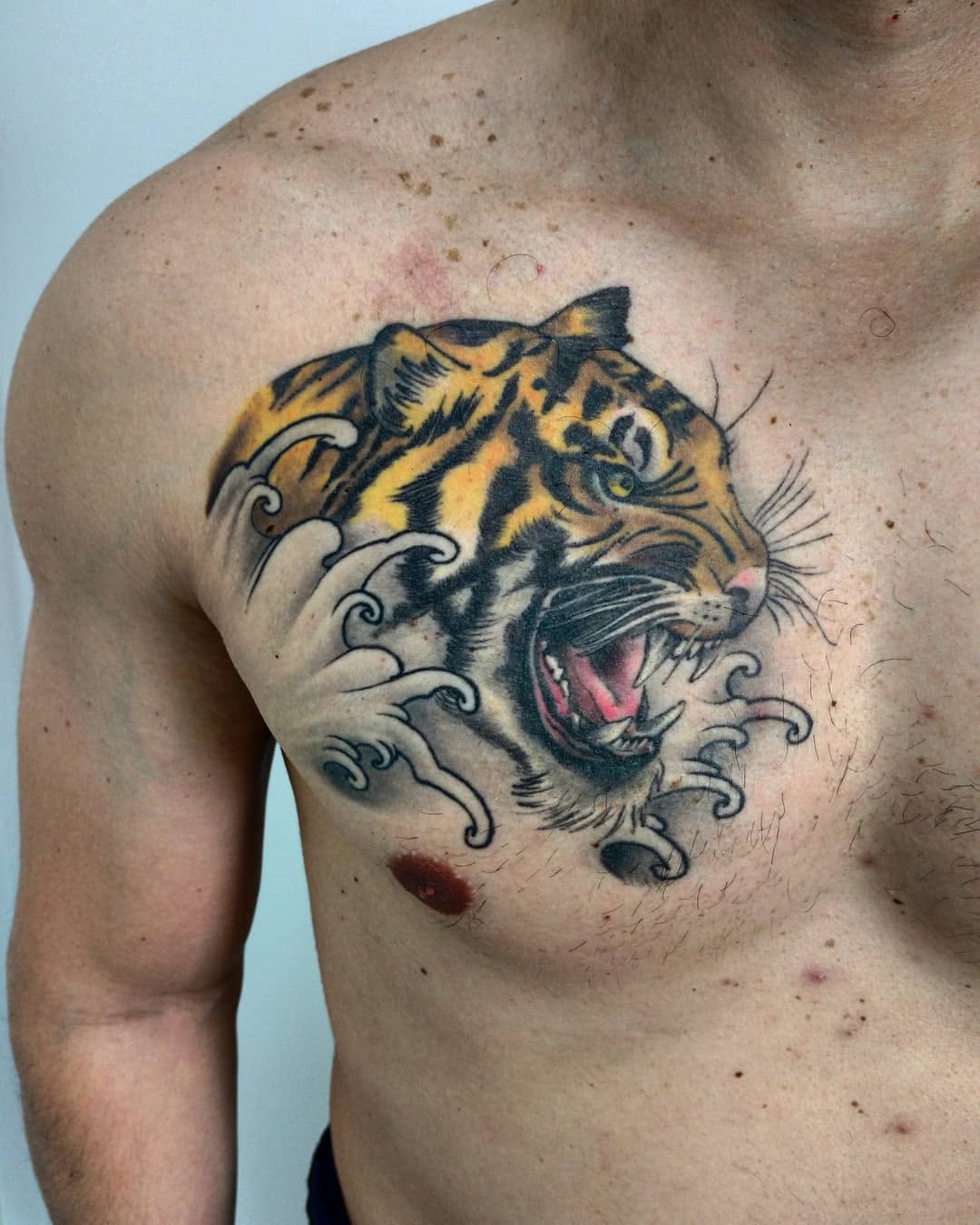 Tiger, 한국 호랑이