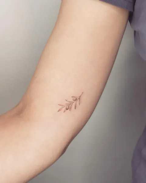 개미, Lettering, 지네, 염소자리