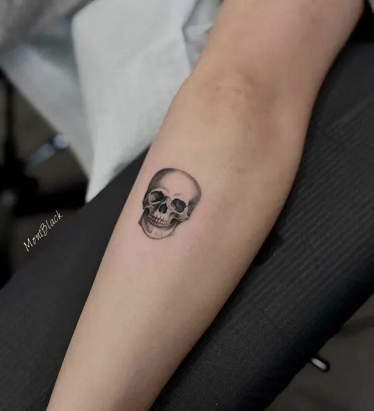 뼈, Skull