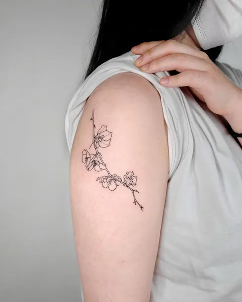 Flower, Rose