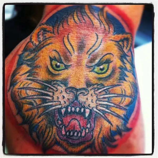 Tiger, Animal