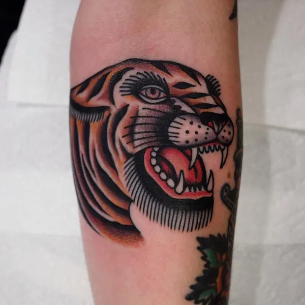 Tiger, Animal