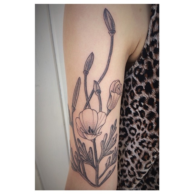 Flower