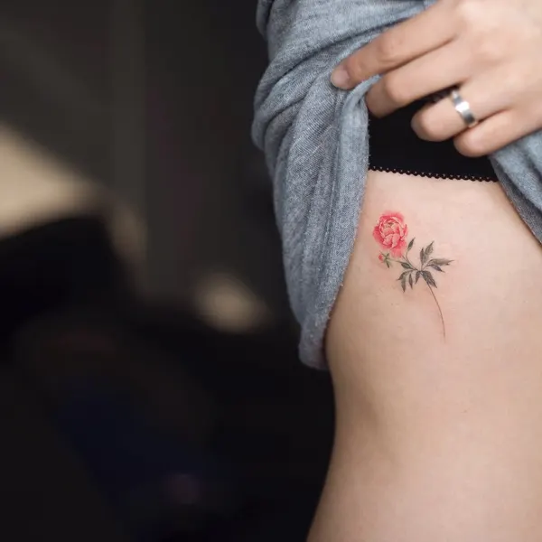 Flower, Rose
