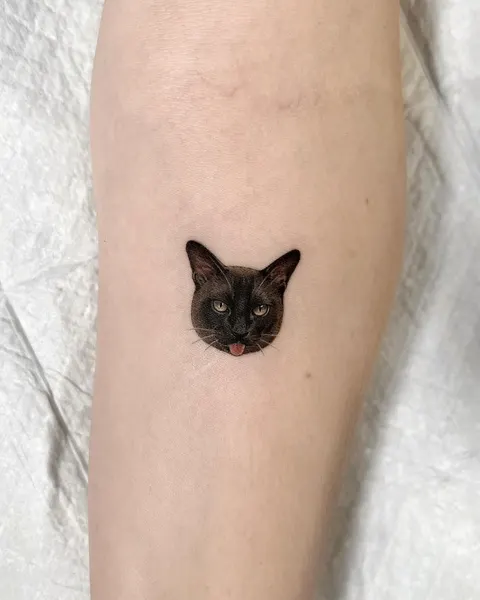 고양이