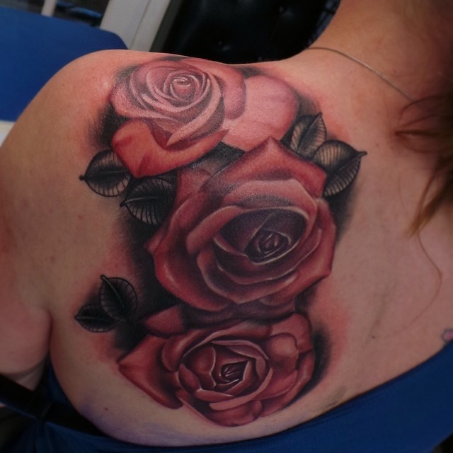 Flower, Rose, Nature