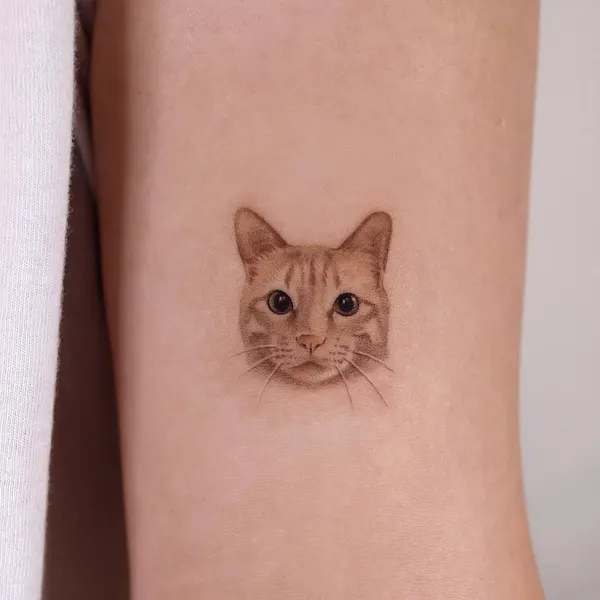 고양이, 여우 가면