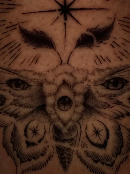 Animal, Nature