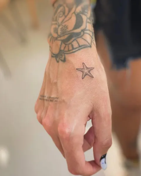 Mini, 불가사리