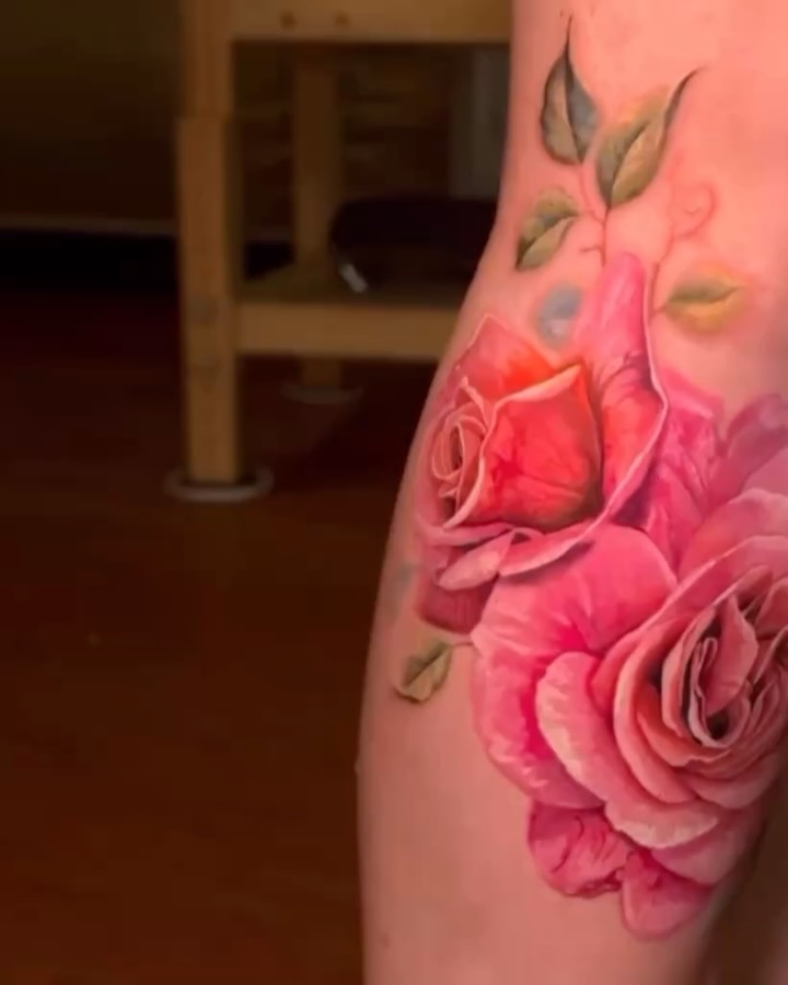 Flower, Rose, Nature