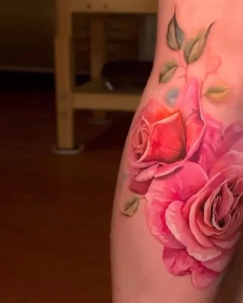 Flower, Rose, Nature