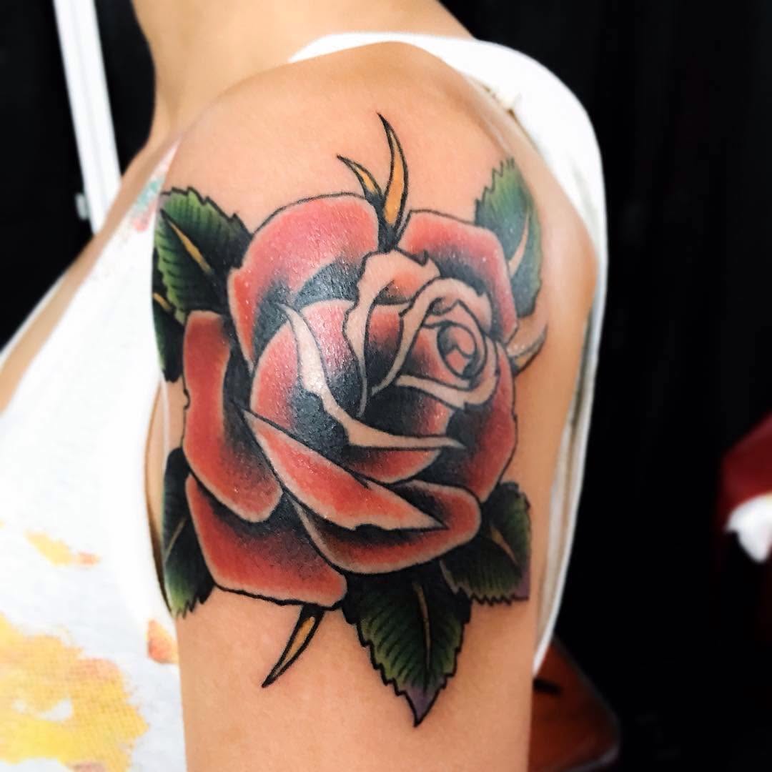 Flower, Rose, Nature