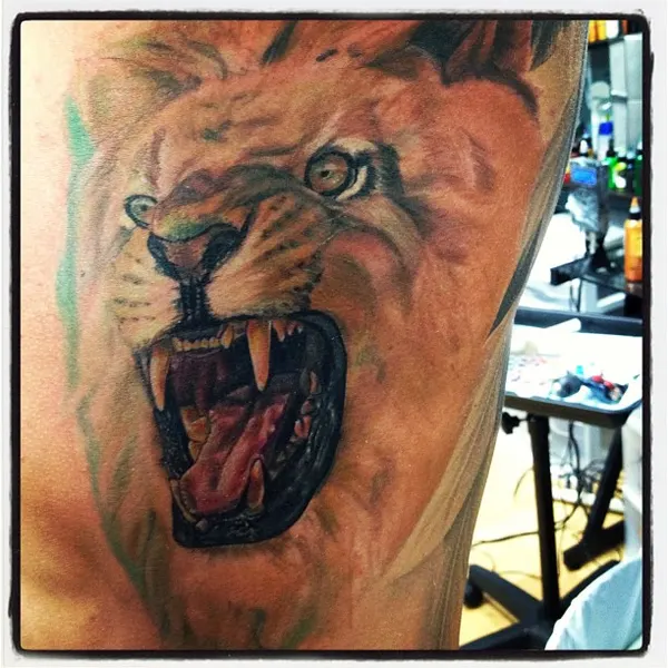 Tiger