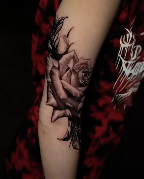 Flower, Rose, Nature
