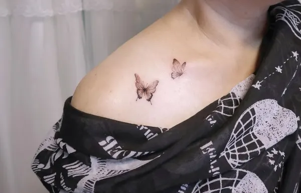 Animal, 나방