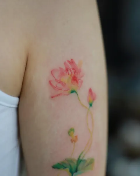 Flower, 모란, 목련, 백합, 벚꽃, 사쿠라, 수선화, 카네이션, 튤립