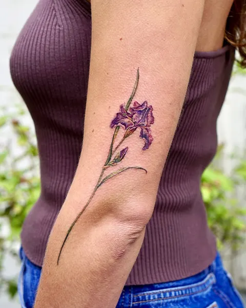 Flower, 난초, 아이리스, 라벤더