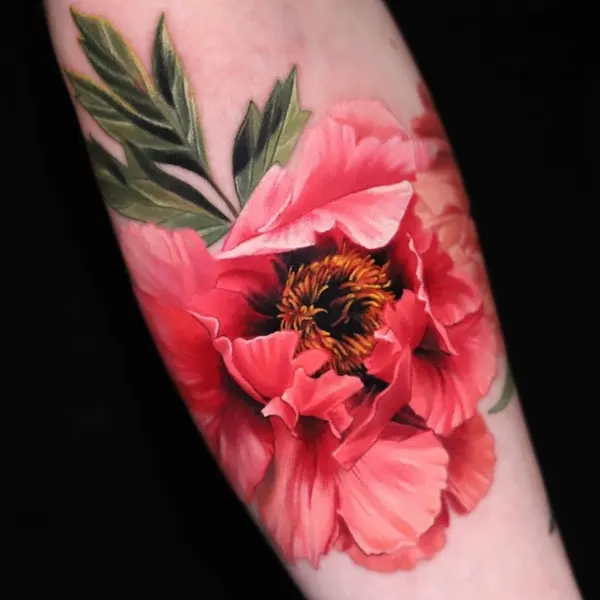 Flower, Rose, 양귀비