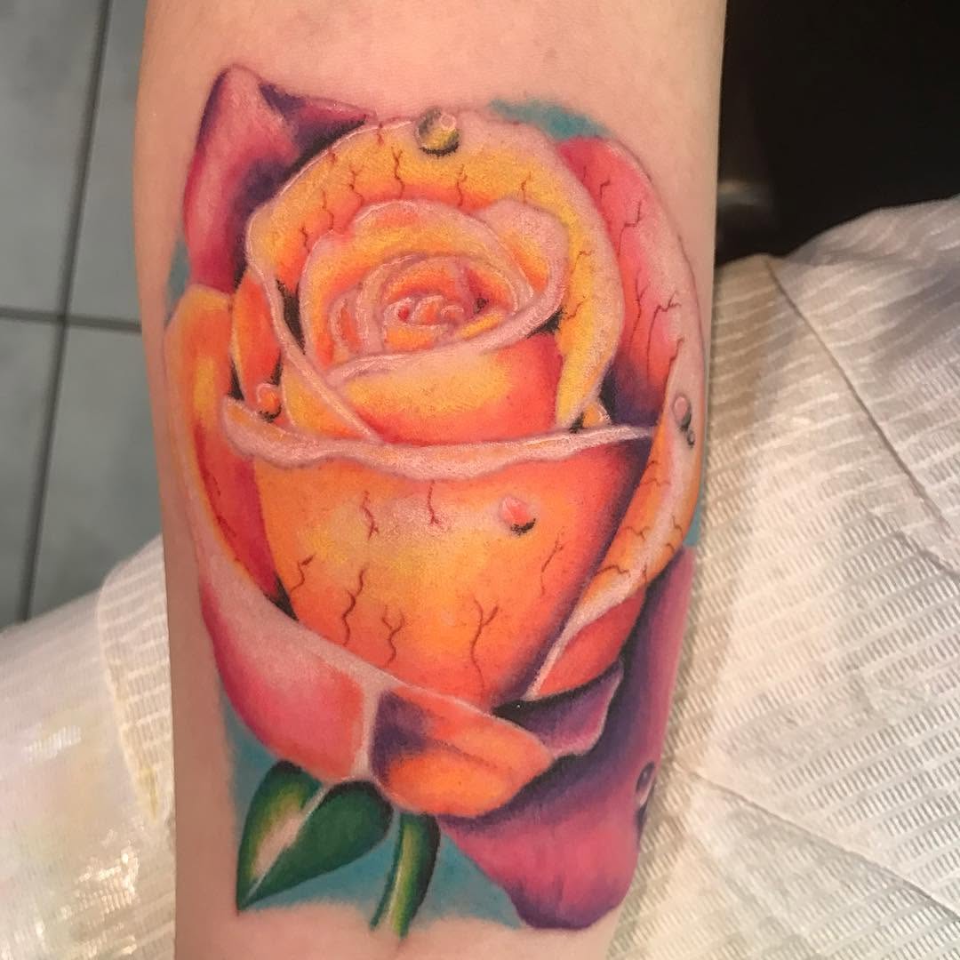 Flower, Rose
