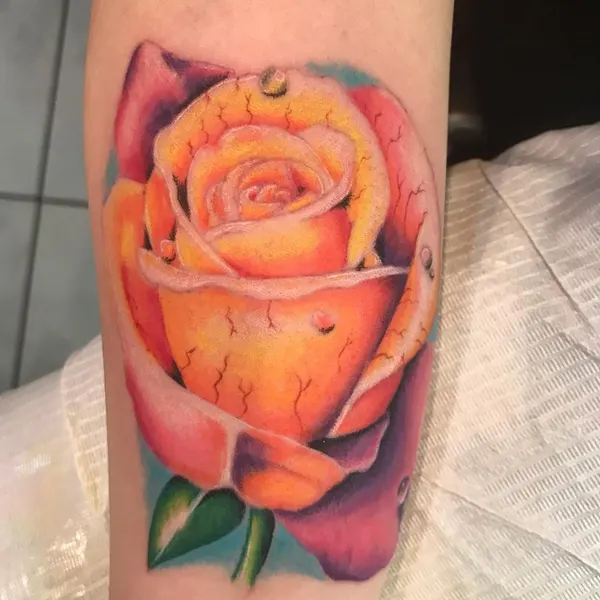 Flower, Rose