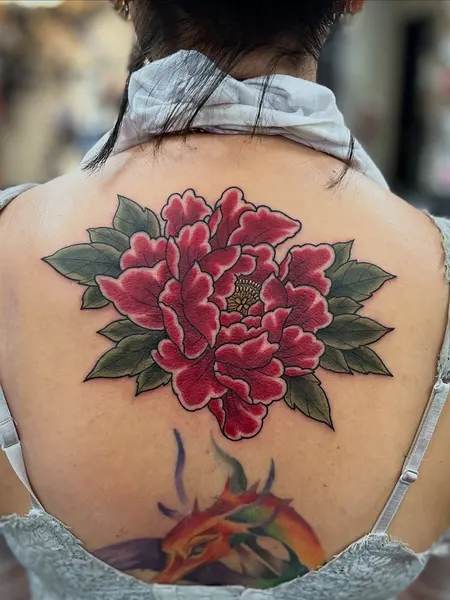 Flower, Nature, Rose