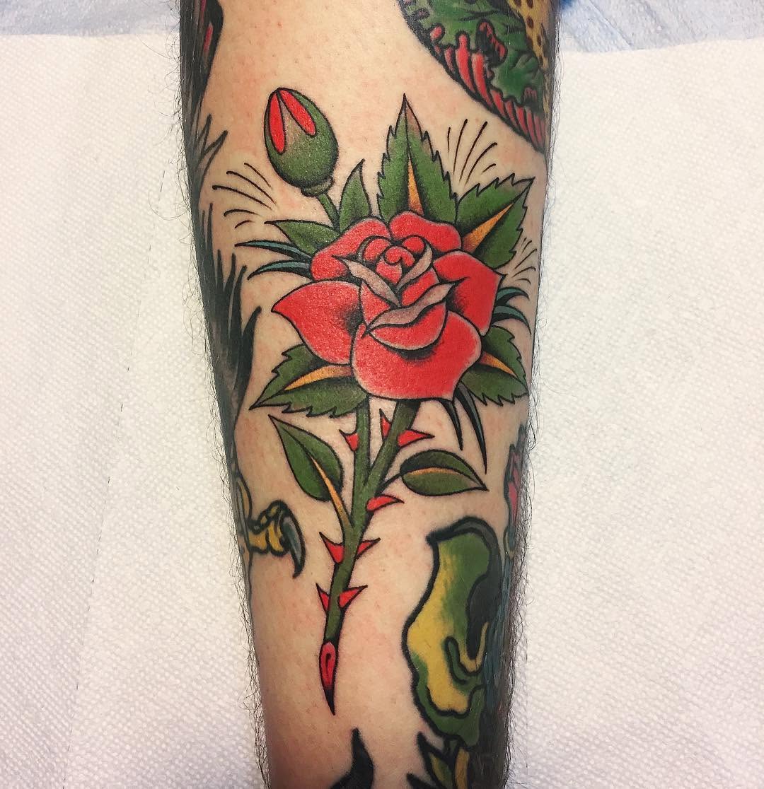 Flower, Rose