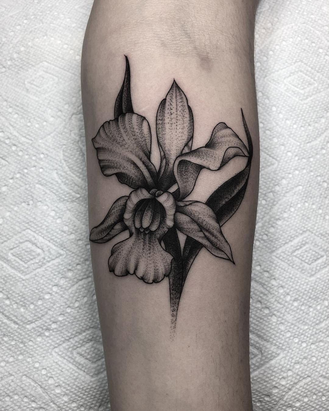 Flower, 난초