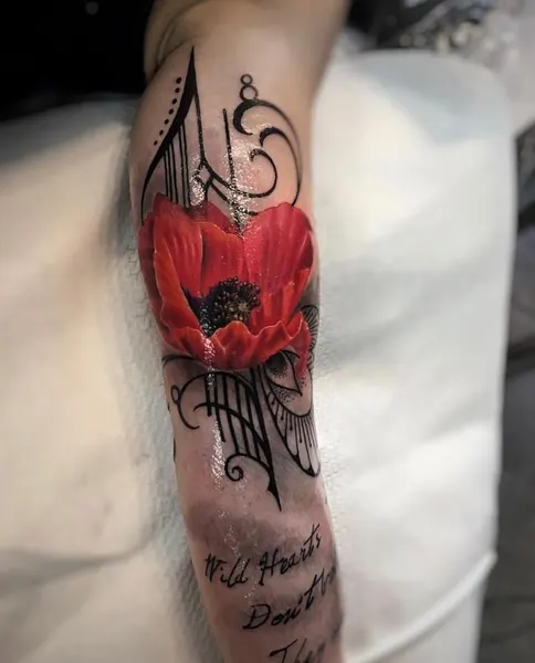 Flower, Rose