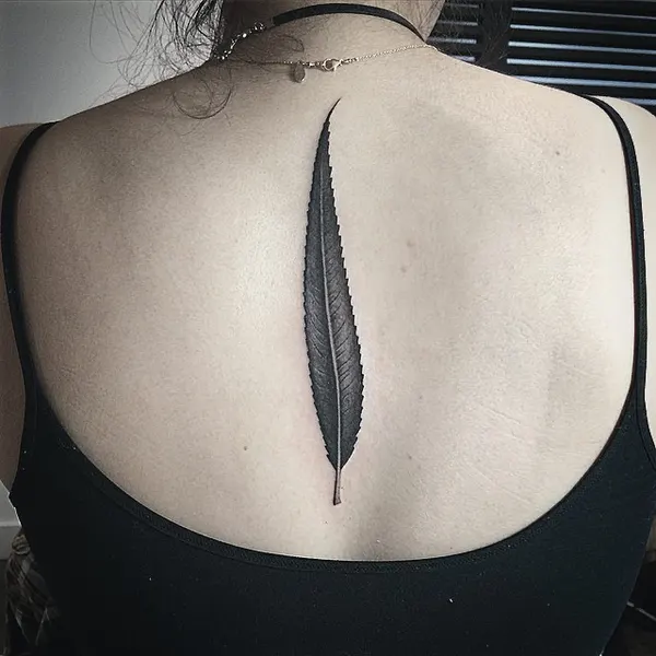Nature, 창, 깃털, 화살, 활과 화살