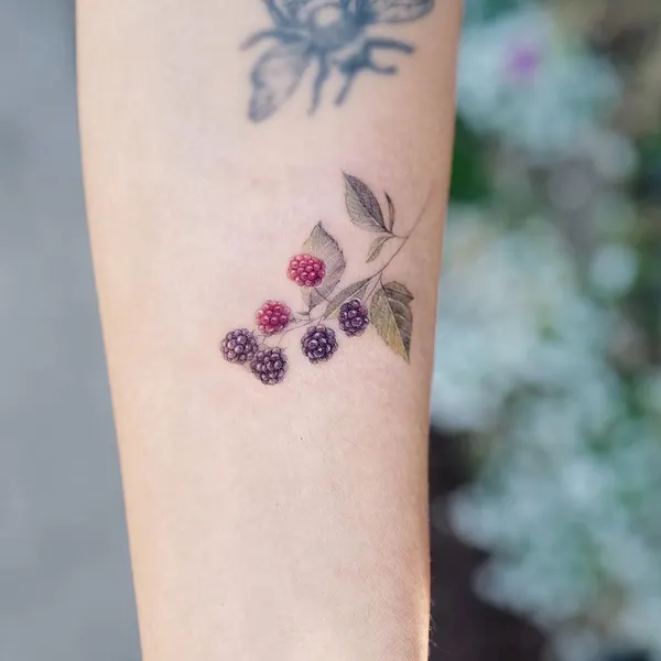 Flower, Rose, 무당벌레