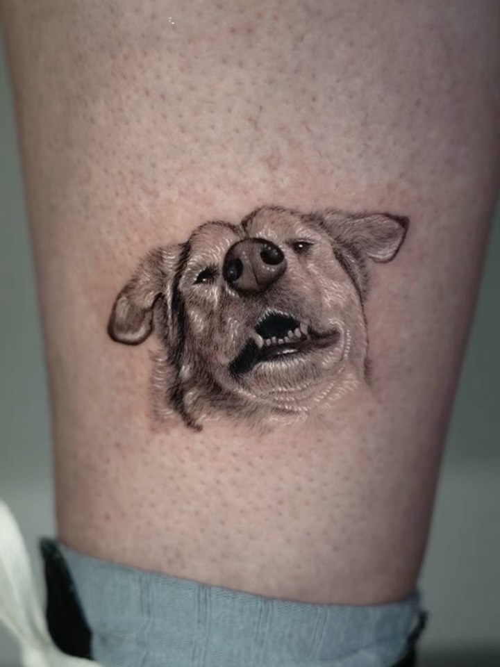 Animal
