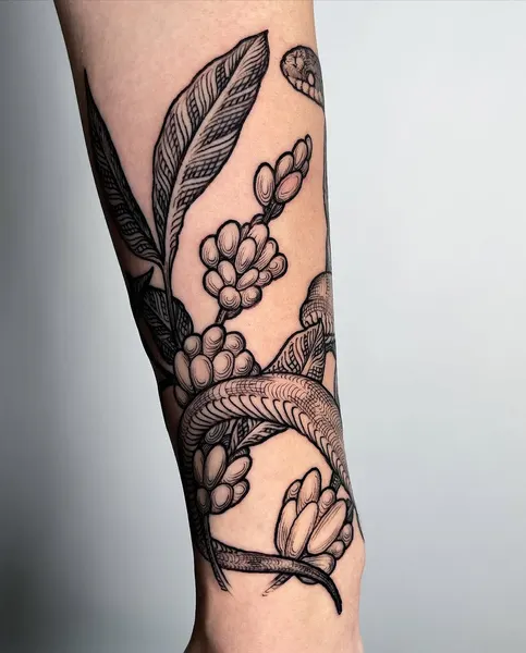 Dragon, Snake