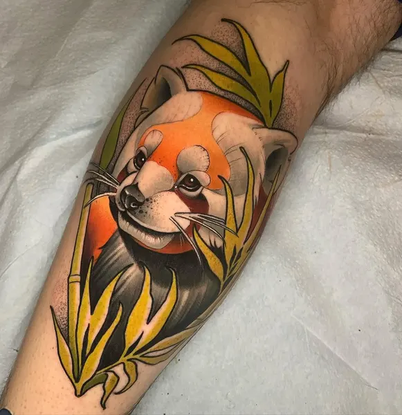 Animal, 판다