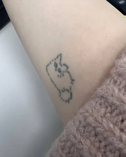 카툰