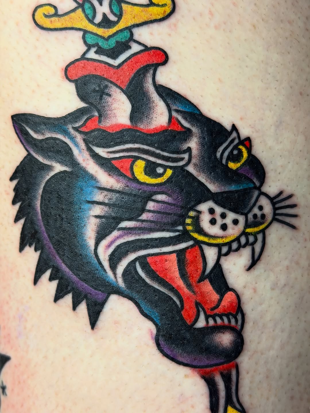 Tiger, Animal