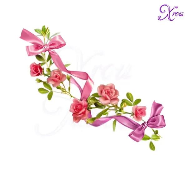 Flower, Nature, Rose